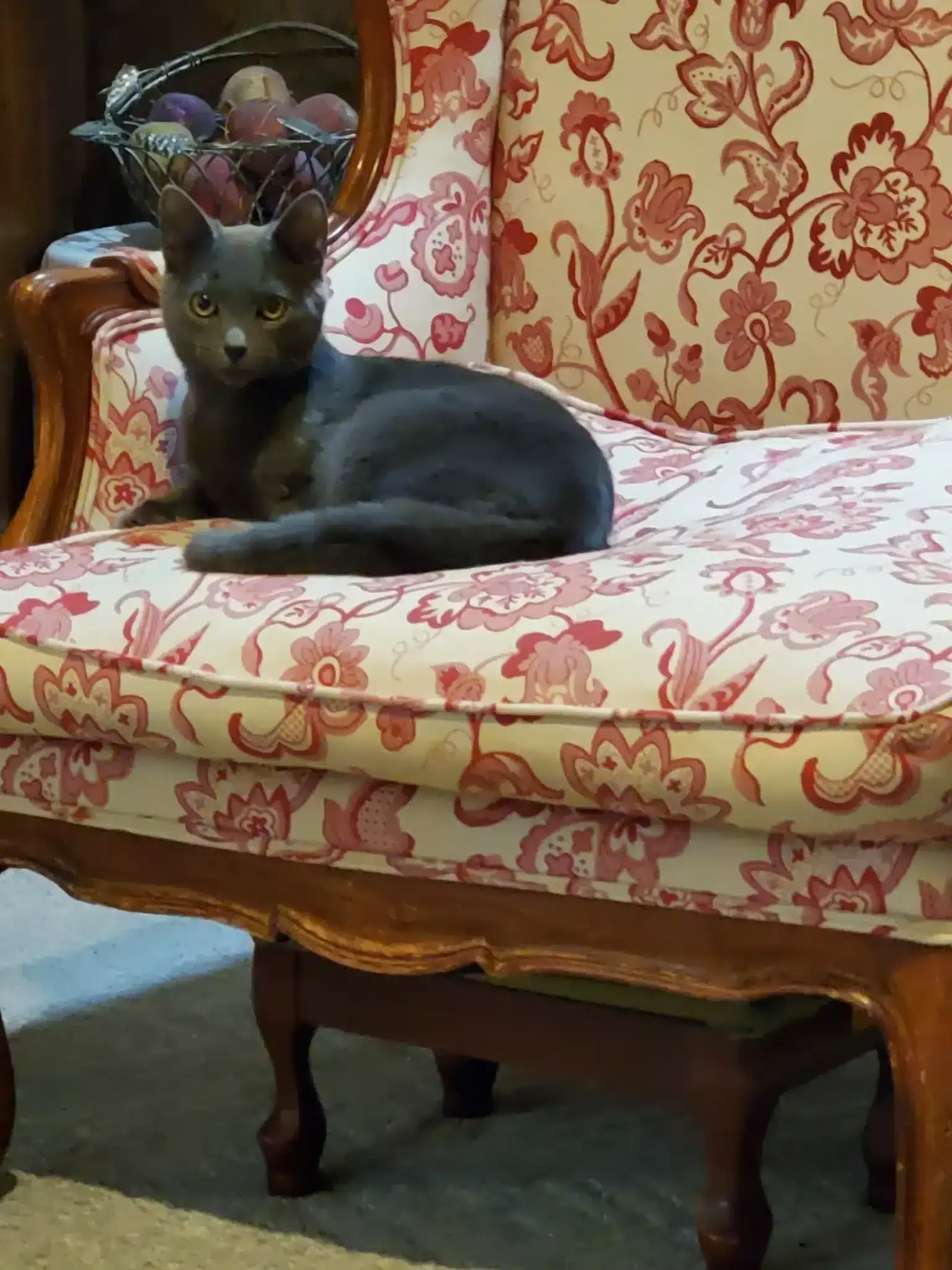 Sweet Pea