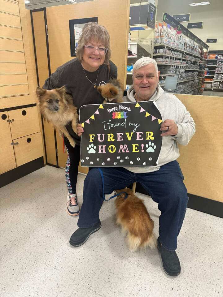 Toto