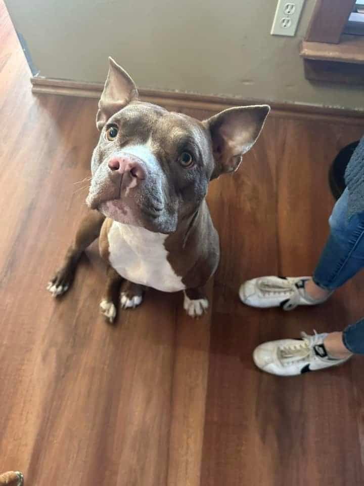 Millie
